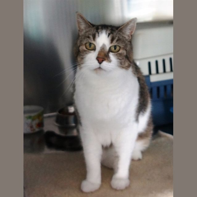 Photo of Rosie