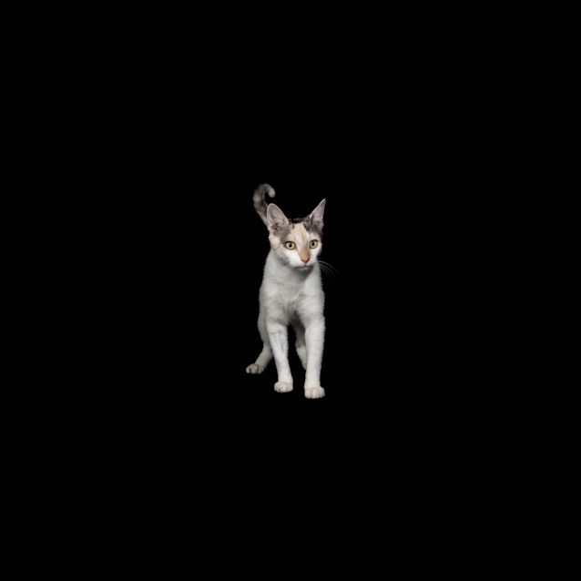 Photo of Beth