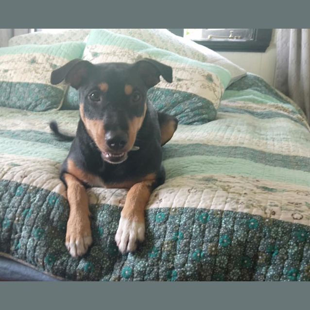 Photo of Zula