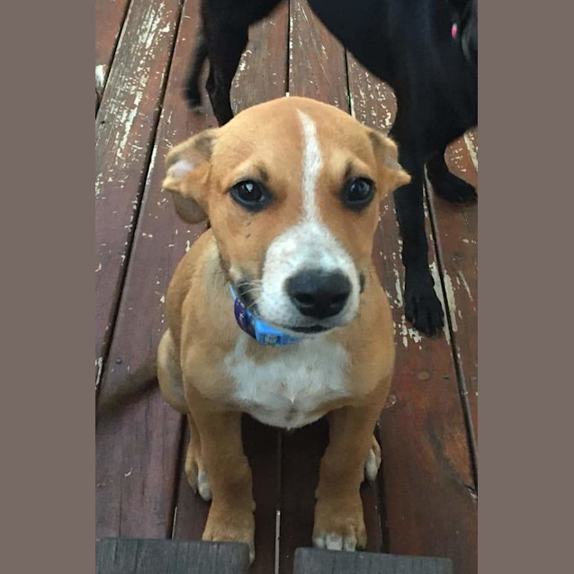 Photo of Lexie
