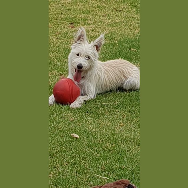 Photo of Lilly