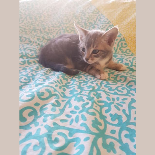 Photo of Lily