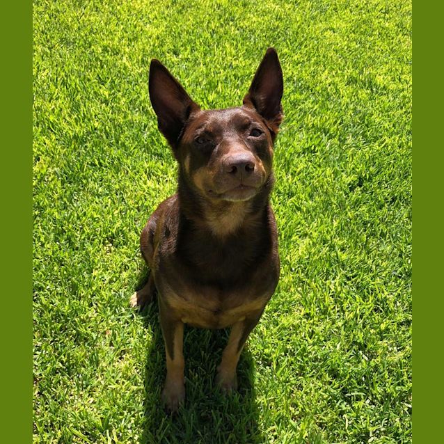 Photo of **On Trial** Red