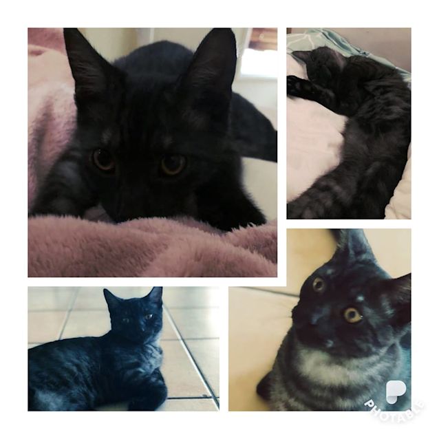 Photo of Hershey