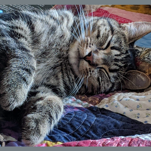 Photo of Hazel