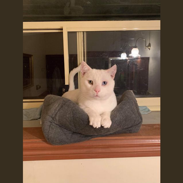 Photo of Walter