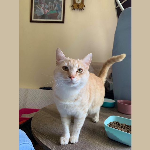Photo of Frankie