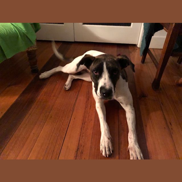 Photo of Miss Tessa