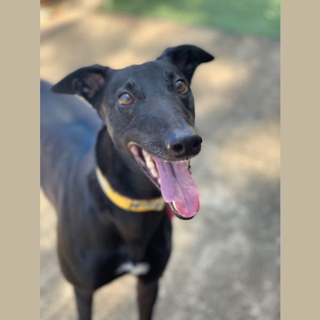 Photo of Omega (On Trial 5 May)
