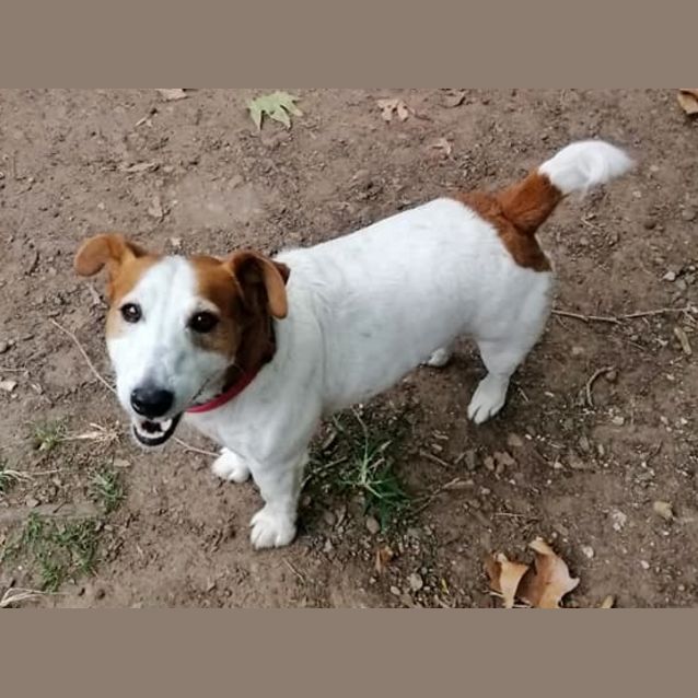 Photo of Jack