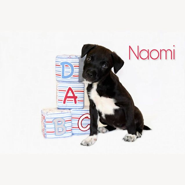 Photo of Naomi 