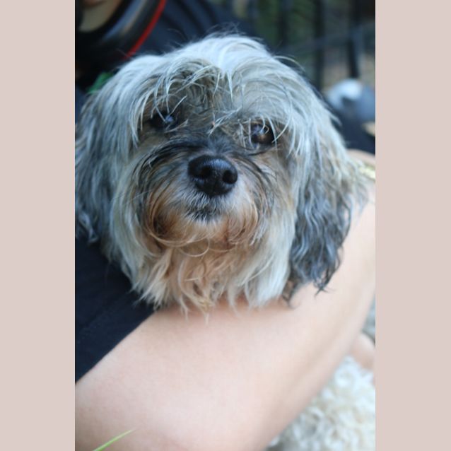 Photo of Crumpet