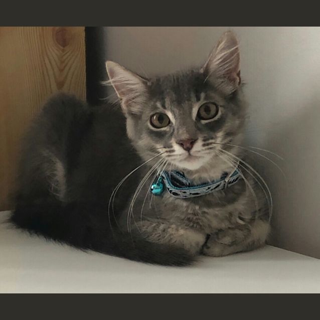 Photo of Jackson & Aria