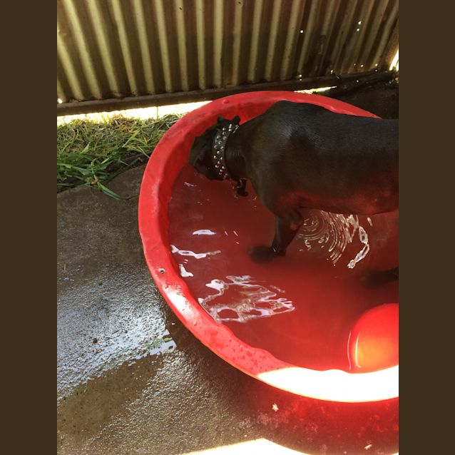 Photo of Biggie **  Mr Congeniality **