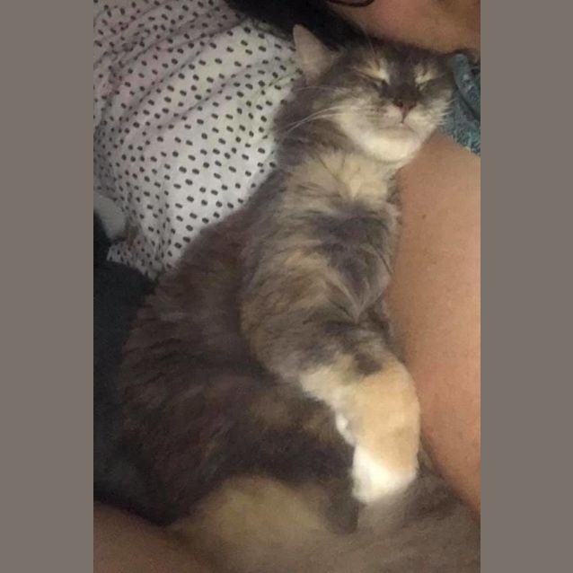 Photo of Tinkerbell And Sammie