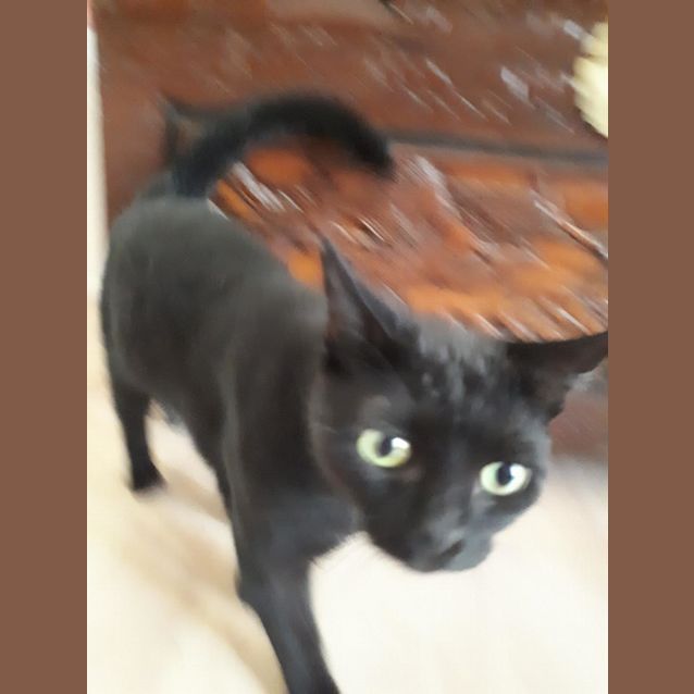 Photo of Toot On Sale Now