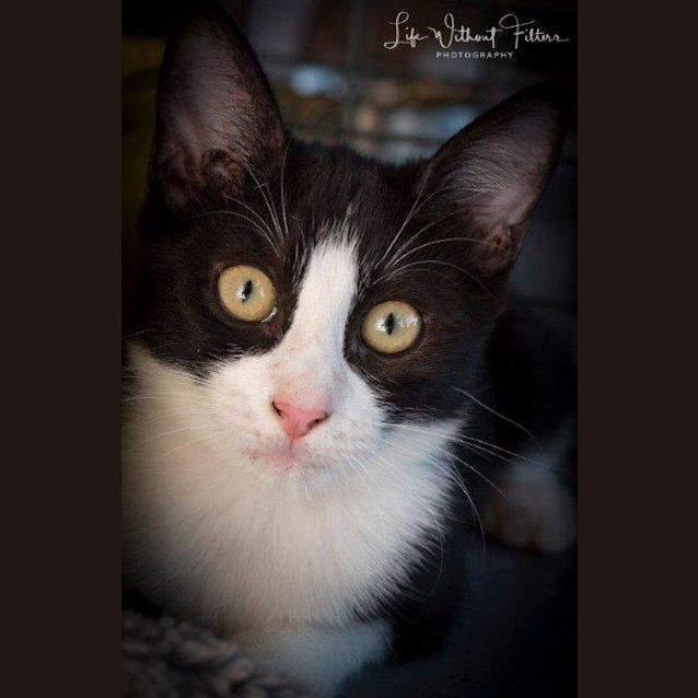 Photo of Allira