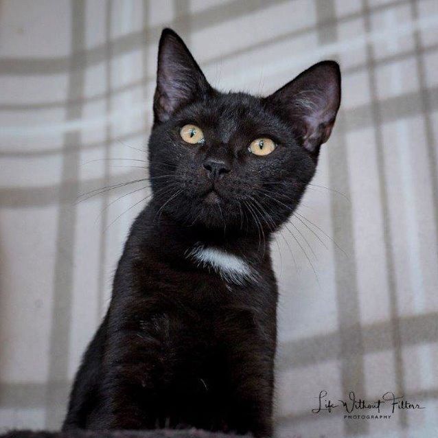 Photo of Axel