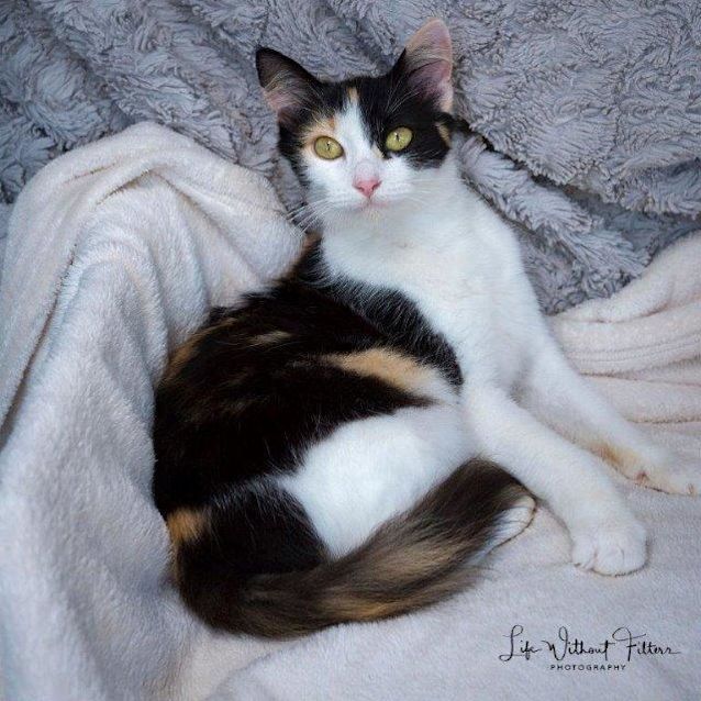 Photo of Zafina