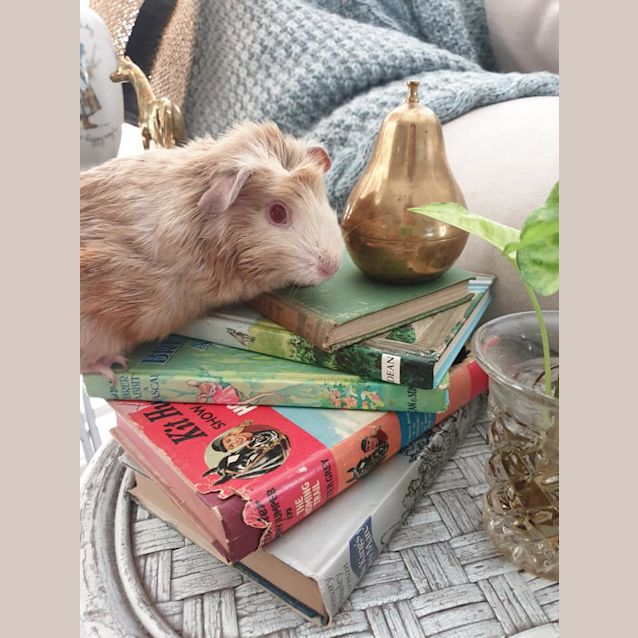 Photo of Blondie And Joan Jett