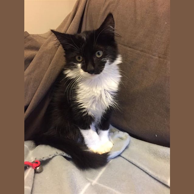 Photo of Tommy