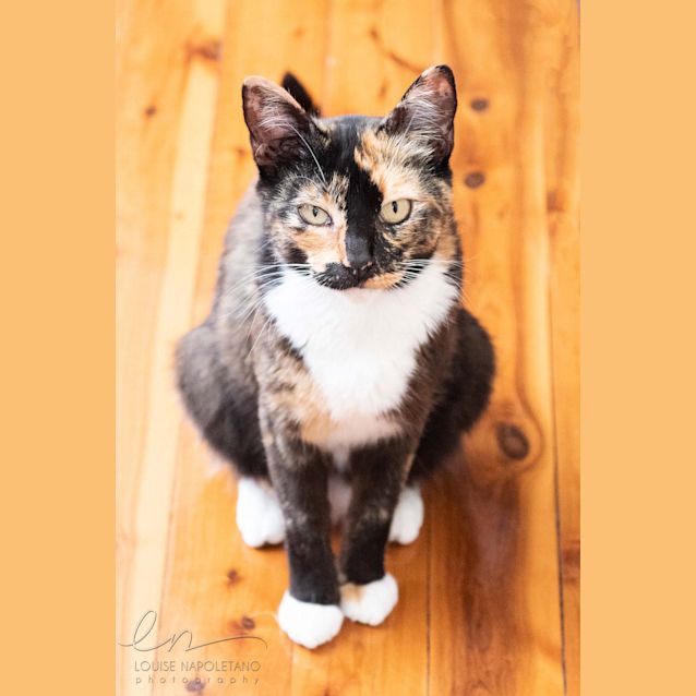 Photo of Jessamine💖