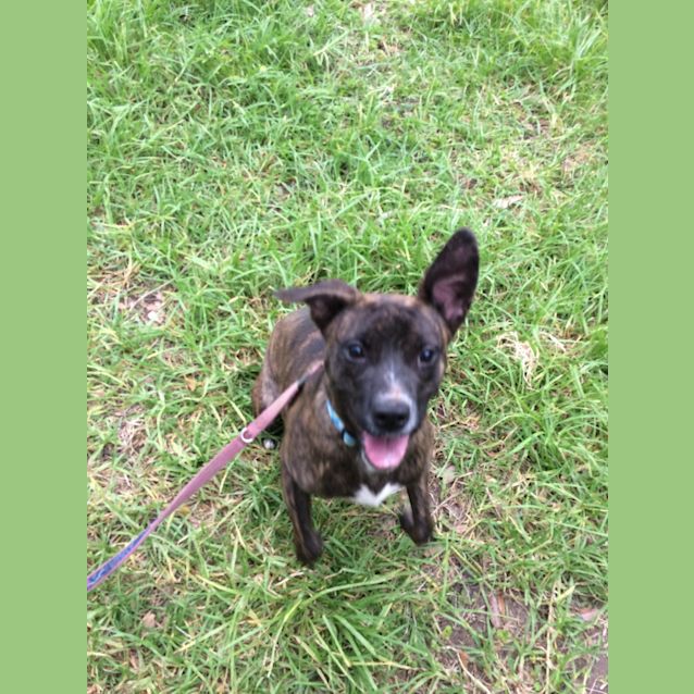 Photo of Abby ** Adorable Natured Girl **
