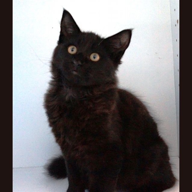 Photo of Nigel