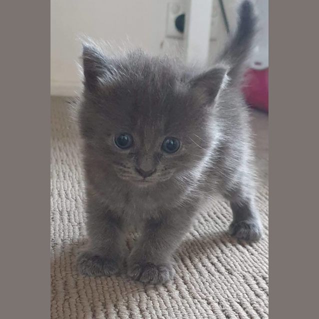 Photo of Mazzie
