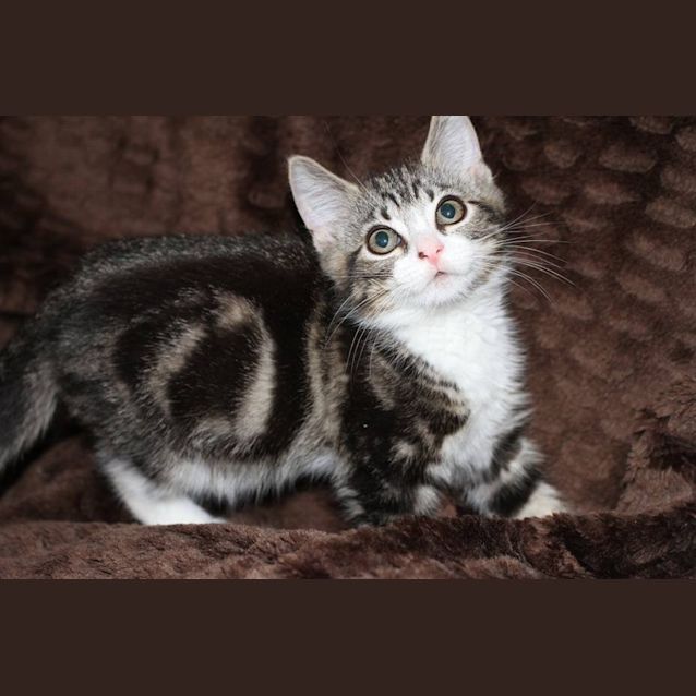 Photo of Tommy