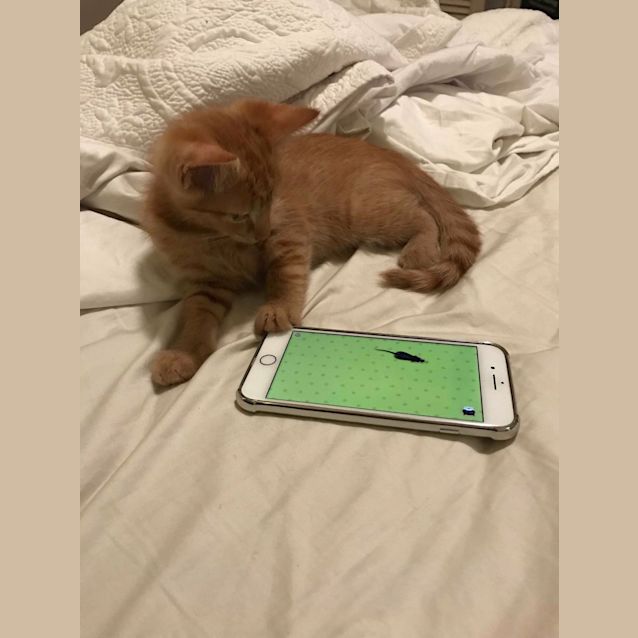 Photo of Vinny