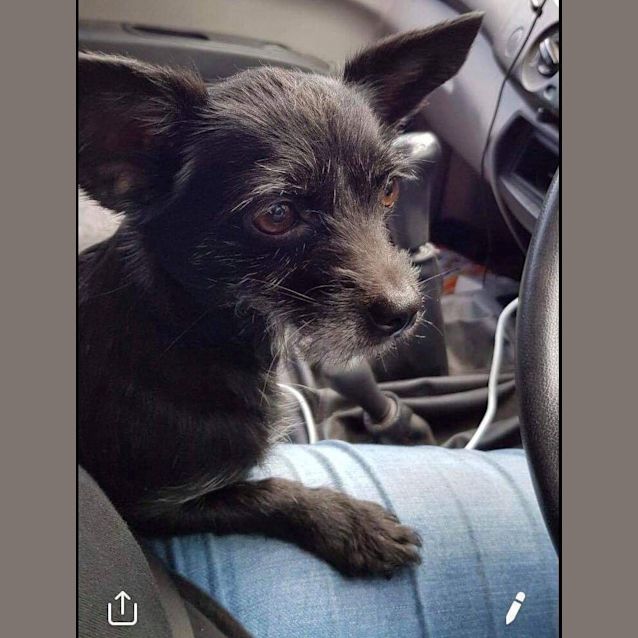 Photo of Keaser **On Trial**