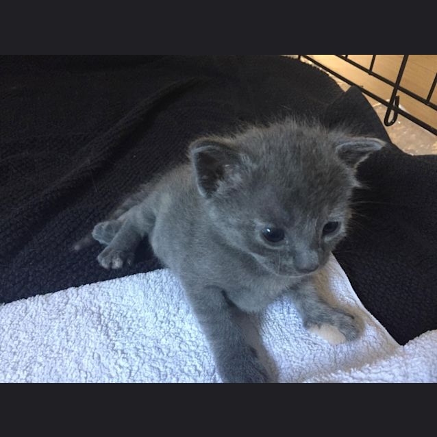 Photo of **On Trial** Mallee