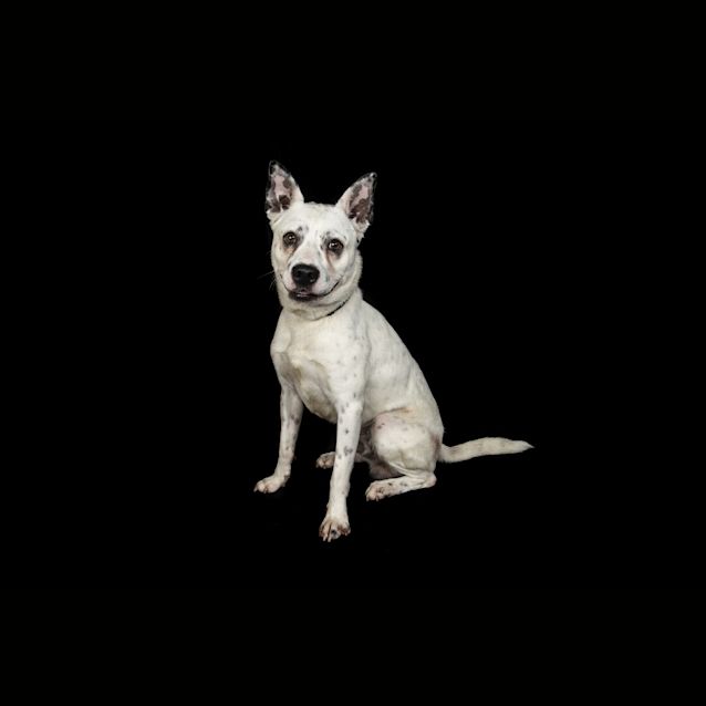 Photo of Barry