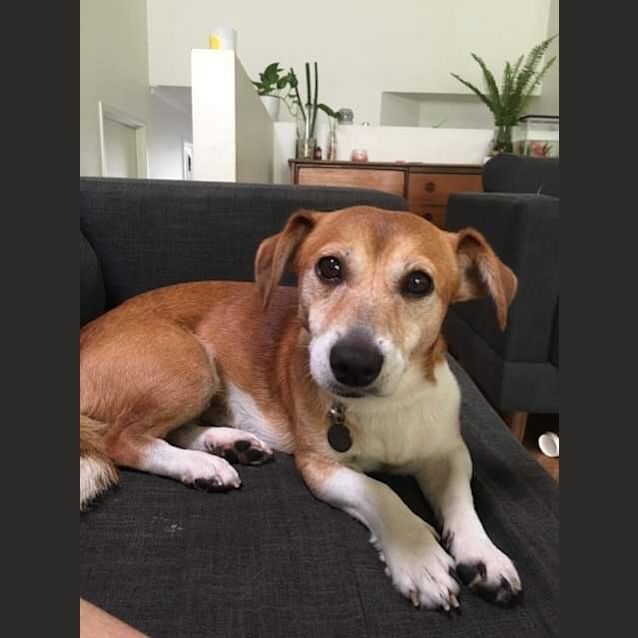 Photo of Wilfred