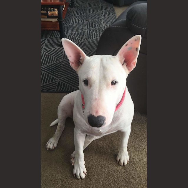 Photo of Lilypad