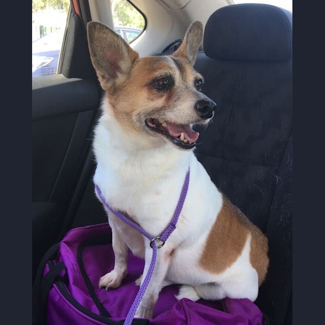 Photo of Sam Our Divine Older Boy 
