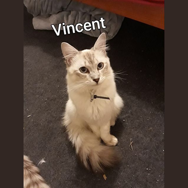 Photo of Vincent