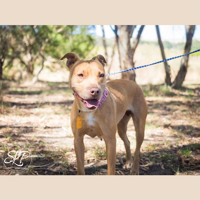 Photo of **On Trial** Jessie