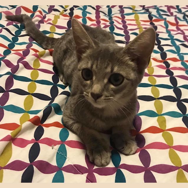 Photo of Anastasia 