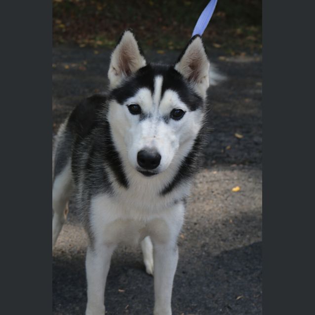Photo of Missy