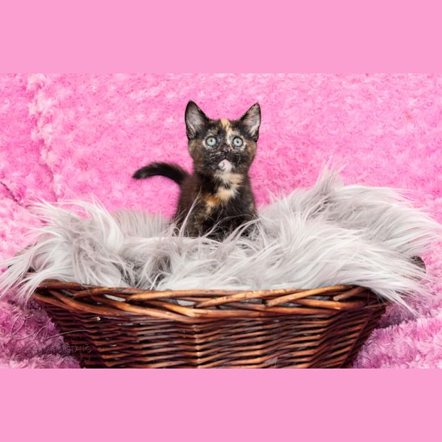 Photo of Jactina 💖