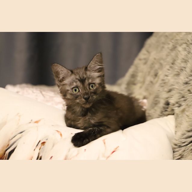 Photo of Alexander🌟