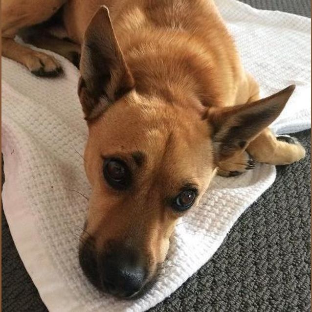 Photo of Widget