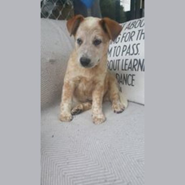 Photo of Milton