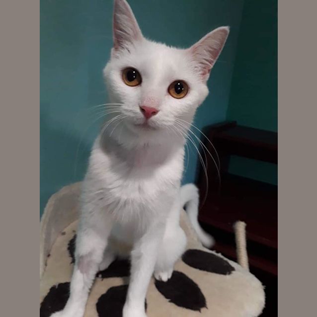 Photo of Tayet 