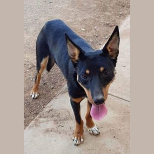 Photo of **On Trial** Lilly