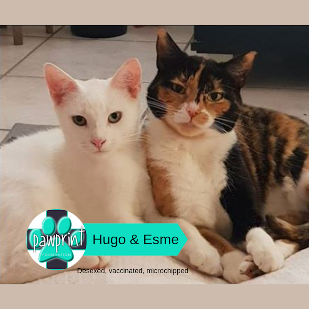 Photo of Esme & Hugo