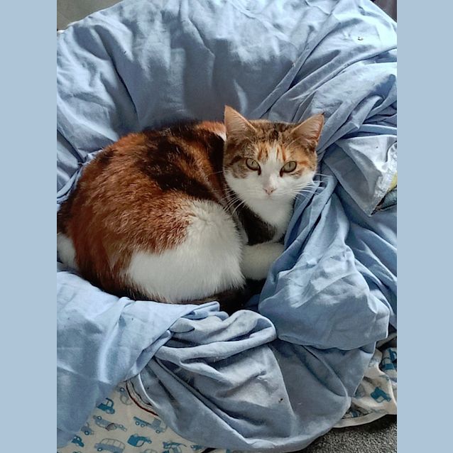 Photo of Matilda
