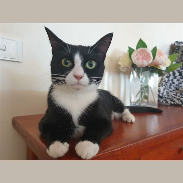 Photo of Priscilla